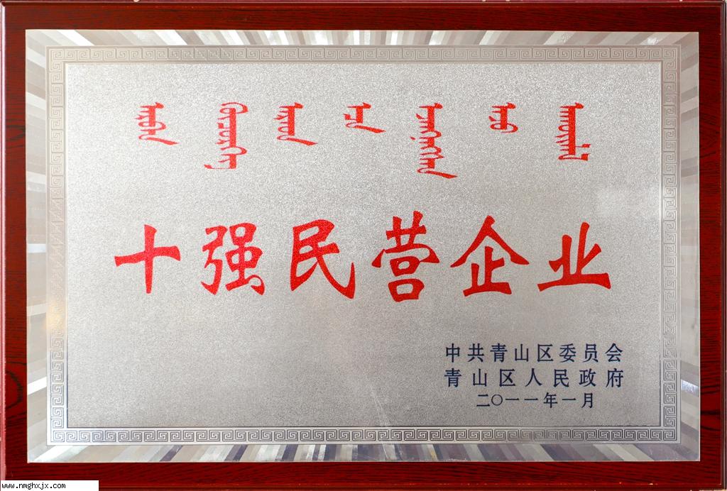 十強民營企業