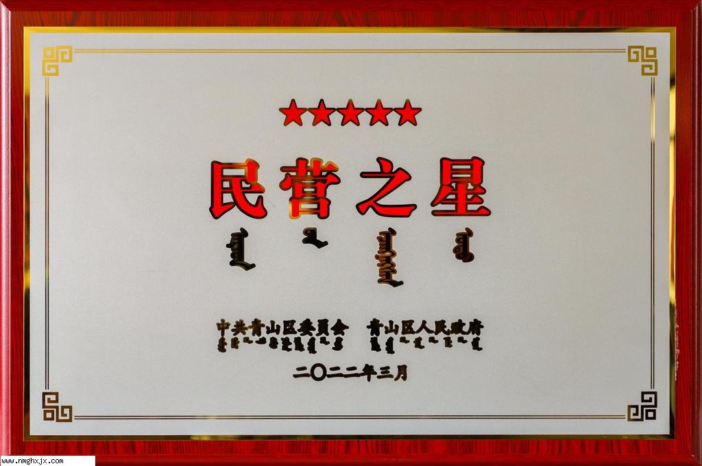 民營之星2022